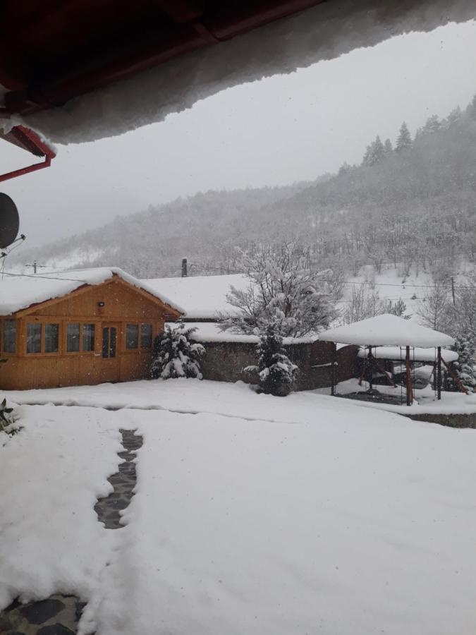 Pensiunea Alpin Păltiniş 외부 사진