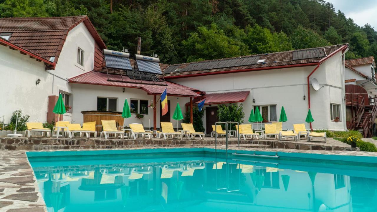 Pensiunea Alpin Păltiniş 외부 사진