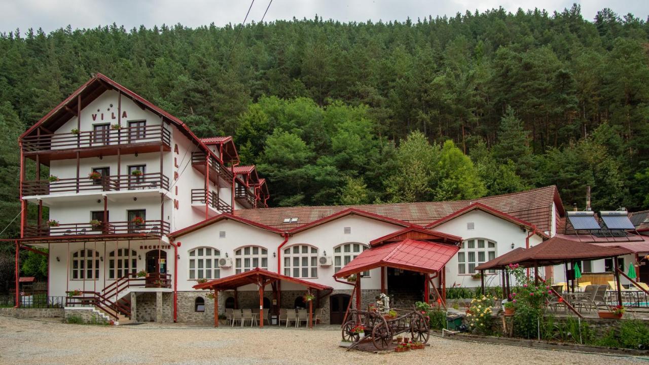 Pensiunea Alpin Păltiniş 외부 사진