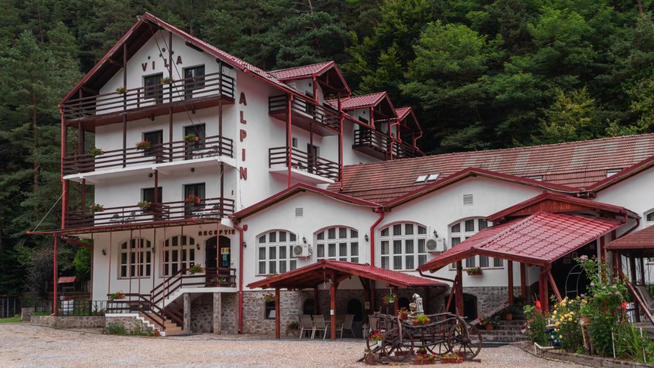 Pensiunea Alpin Păltiniş 외부 사진