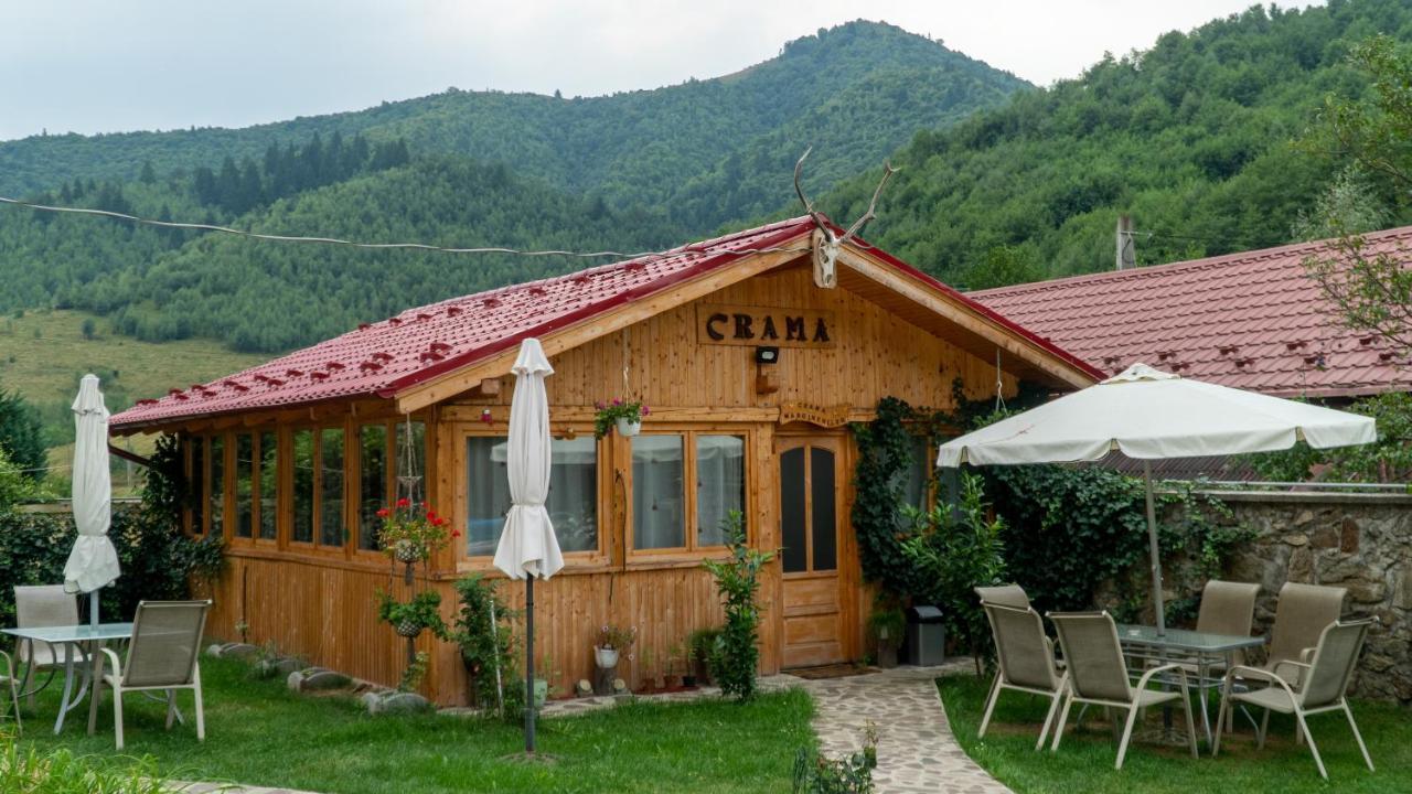 Pensiunea Alpin Păltiniş 외부 사진