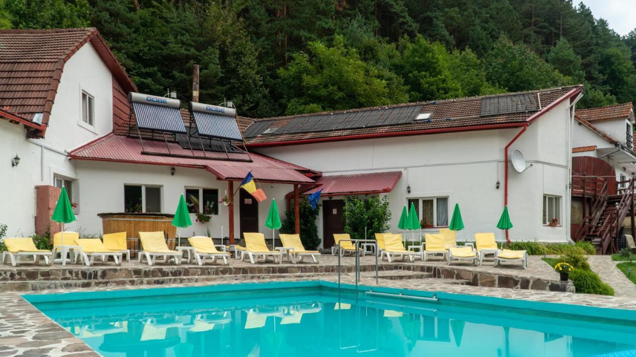 Pensiunea Alpin Păltiniş 외부 사진