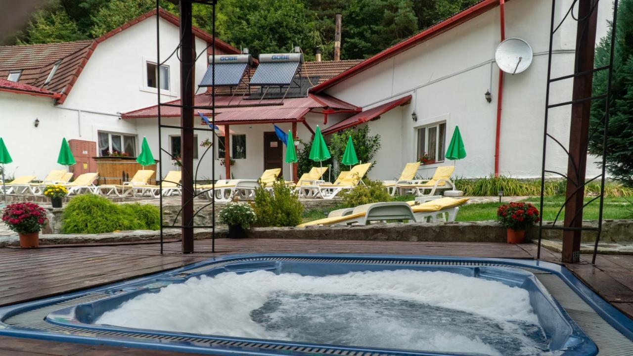 Pensiunea Alpin Păltiniş 외부 사진