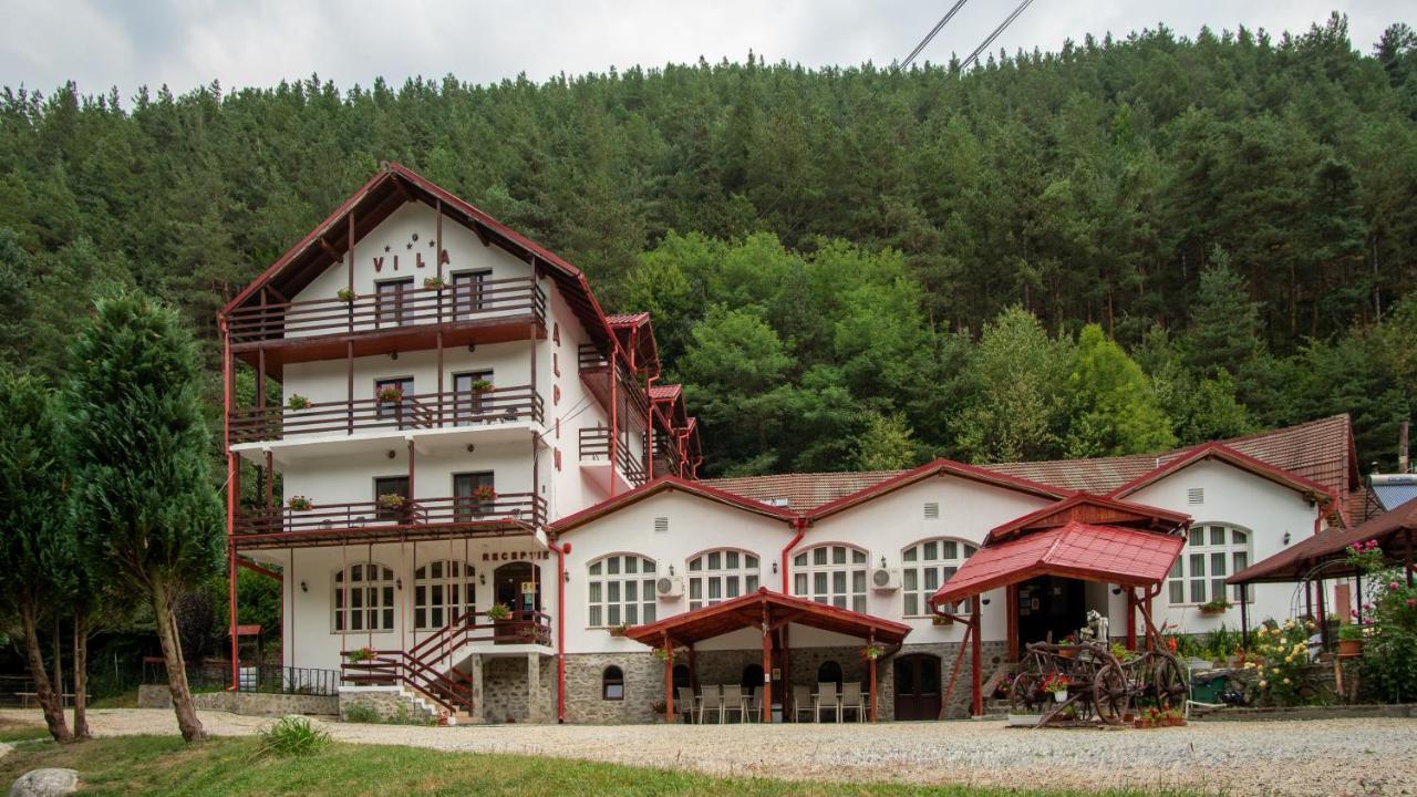 Pensiunea Alpin Păltiniş 외부 사진
